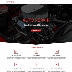 AUTO REPAIR