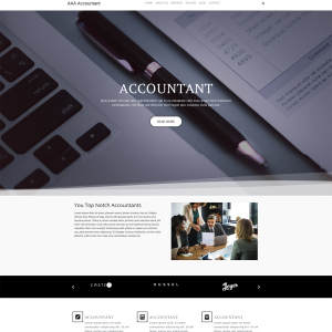 ACCOUNTANT 1