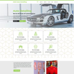 AUTO DETAILING 1