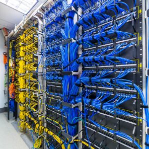 Web Hosting (Annual)