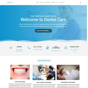 DENTAL CARE
